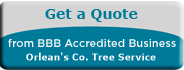 Orlean's Co. Tree Service BBB Business Review